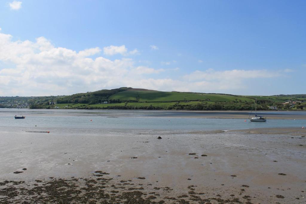 Llety Teifi Guesthouse Cardigan Exteriér fotografie